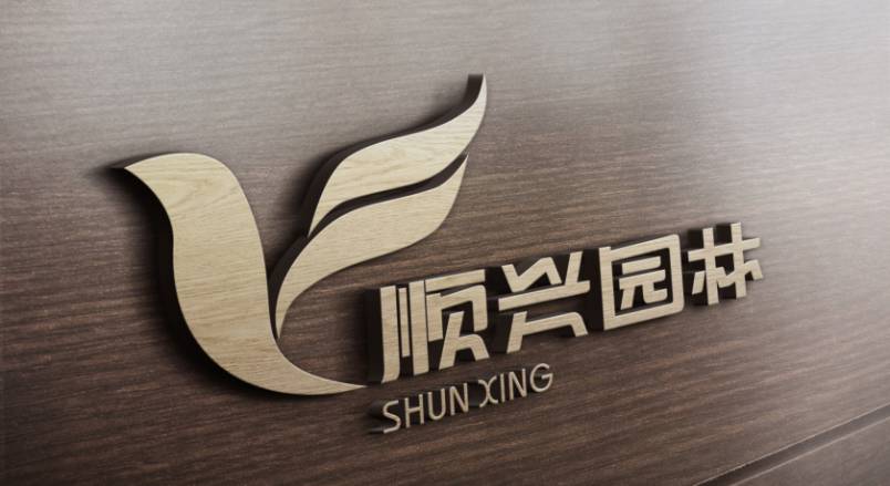 双阳区VI设计：城市品牌蝶变的核心引擎